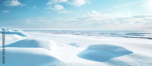 Winter seascape The backgro...