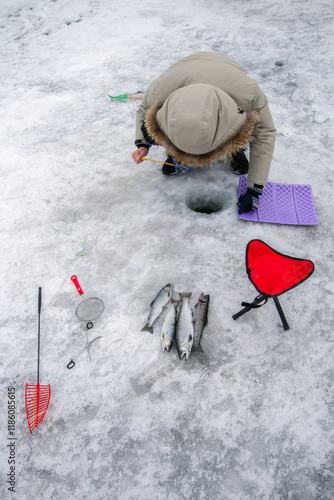 강원도 화천군 산천어축제장에서 얼음 낚시하는 사람