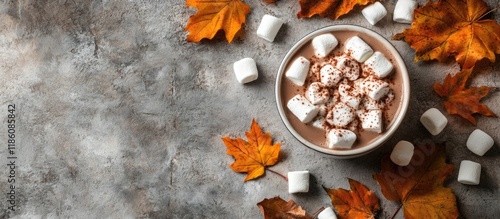 Hot chocolate with marshmal...