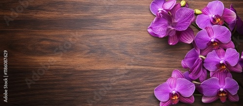 Purple vanda orchid flower ...