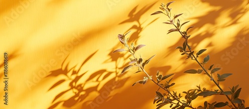 Trending idea using natural...