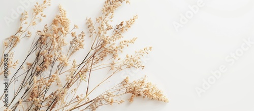Photo frame featuring dried...