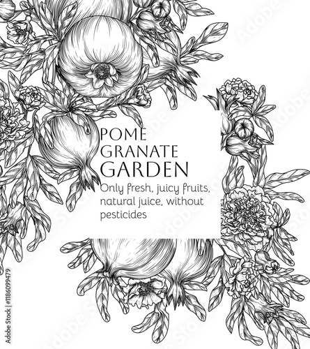 Vector frame of a branch with pomegranate fruits and blossoms in engraving style. Grocery store brochure. Fresh farm fruits. Organic farming. Nutrition banner, healthy eating