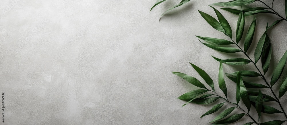 Texture of Wallpaper. with copy space image. Place for adding text or design Texture of Wallpaper. with copy space image. Place for adding text or design