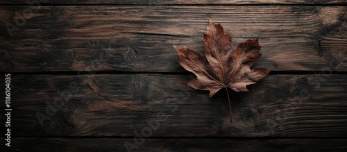 dark brown autumn leaf on a...
