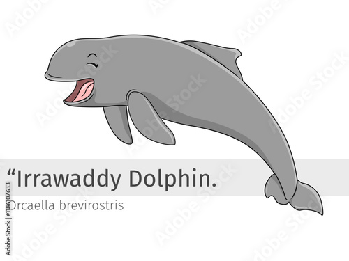 Irrawaddy Dolphin cartoon jump happily illustration 