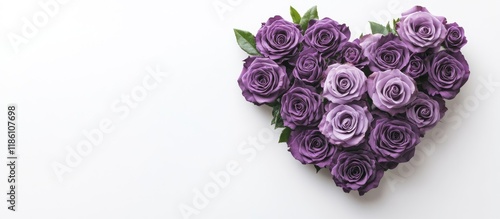 Beautiful purple roses arra...