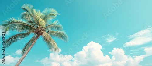 Summer at the beach with a ...