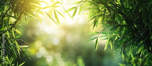 Nature landscape featuring ...