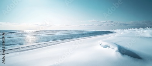 Winter seascape The backgro...