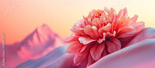 Orange and pink colors comb...