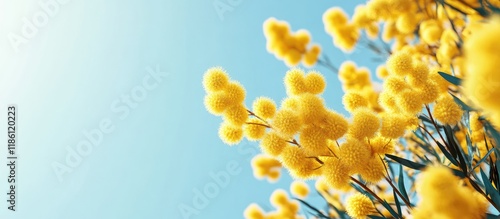 Springtime Bright yellow fl...