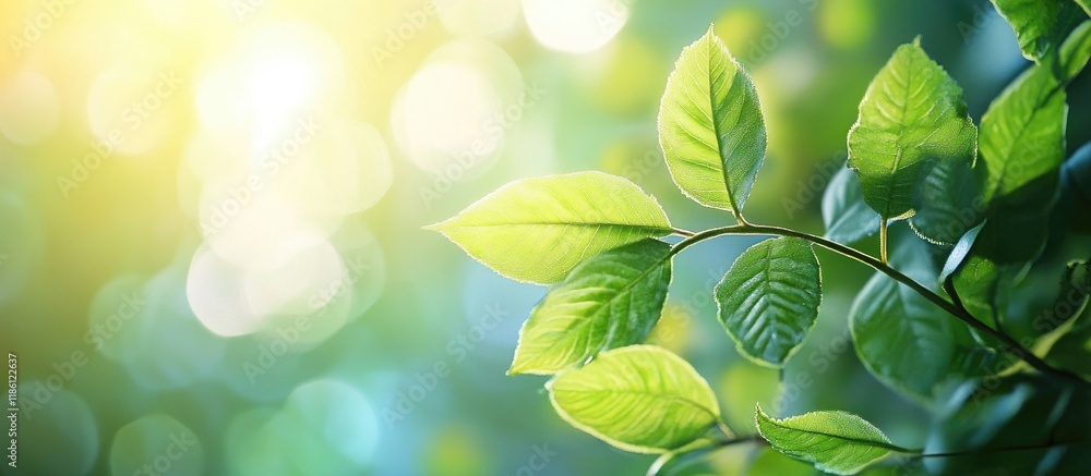 Obraz premium Close up of young leaves with a blurred background Space for text. with copy space image. Place for adding text or design