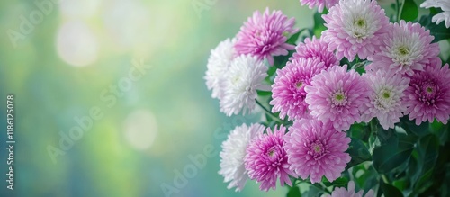 a closeup of a lovely bunch...