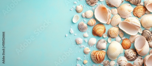 Beach seashells on a colore...