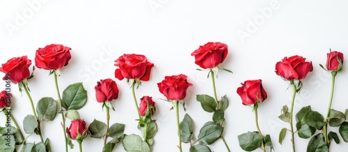 Card and roses against a wh...