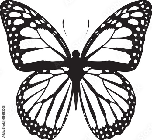  butterfly vector black and white backgrou