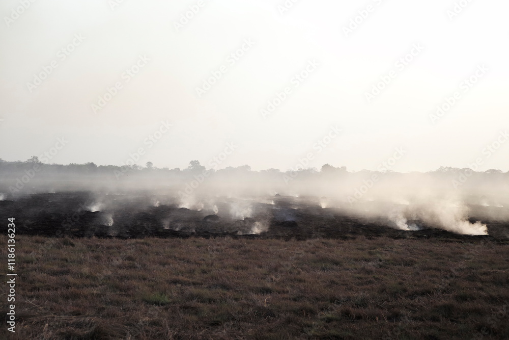 Fototapeta premium Raging Wildfire with high flames, a Bushfire laid by poachers, wild bushfire, heavy fire, burning grass, burning plains, disastrous inferno