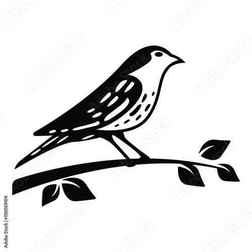 Bird Perched on Branch Isolated on White Background