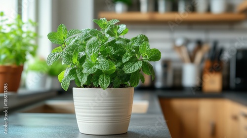 Fresh mint plant in a modern kitchen with colorful vegetables on the counter