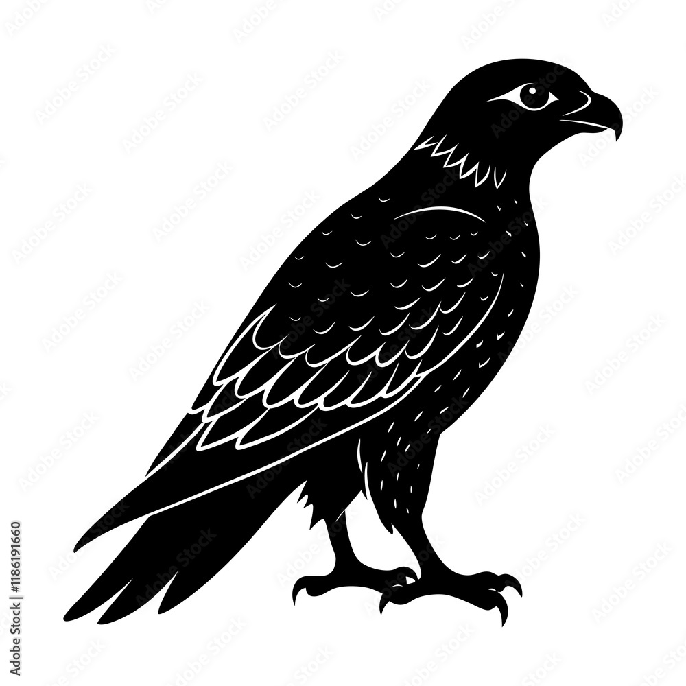 Obraz premium Hawk Silhouette vector illustration