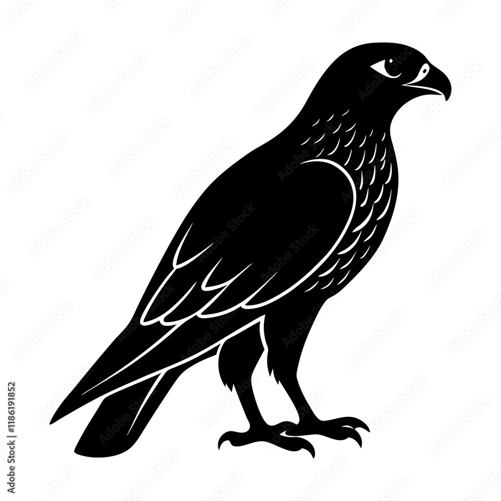 Obraz premium Hawk Silhouette vector illustration