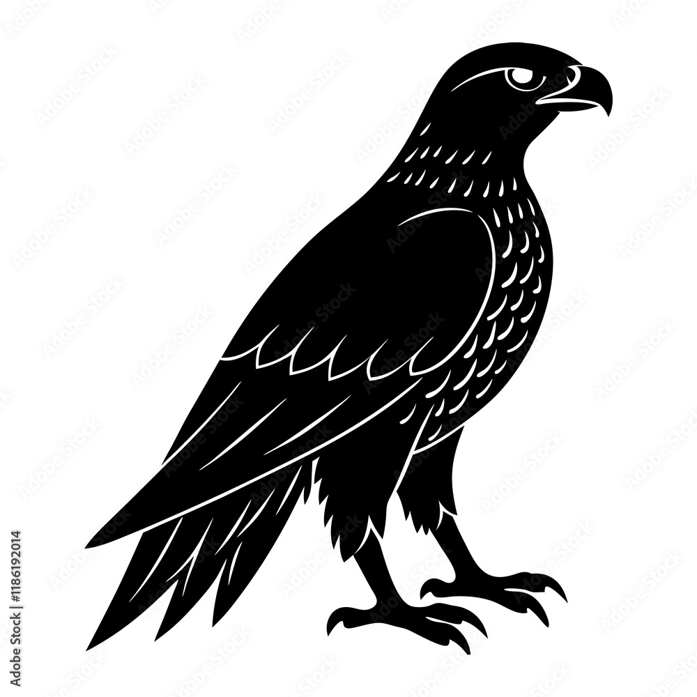 Hawk Silhouette vector illustration Hawk Silhouette vector illustration