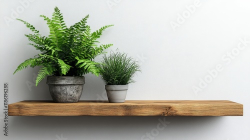 Lush green plants on a rustic wooden shelf in a bright indoor setting
