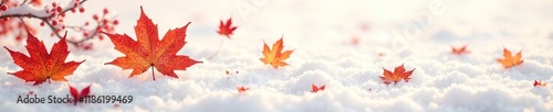 Softly falling maple leaves on a snowy white background, fall, peaceful photo