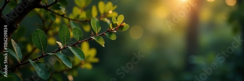 Wallpaper Mural Eucalyptus branch in a cozy atmosphere with lamp, illumination, nature, foliage Torontodigital.ca