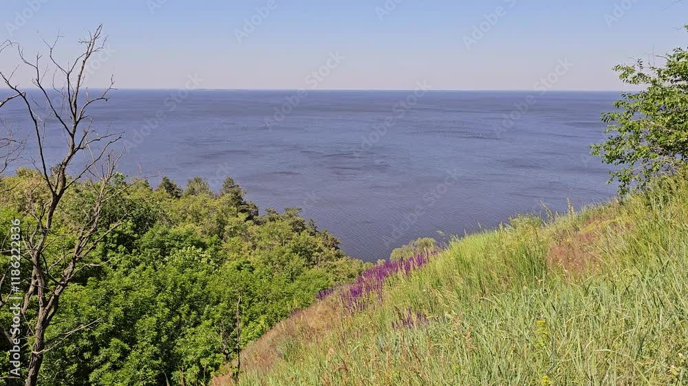 Summer Tranquility: Meadow and Dnipro Landscape
Summer Tranquility: Meadow and Dnipro Landscape