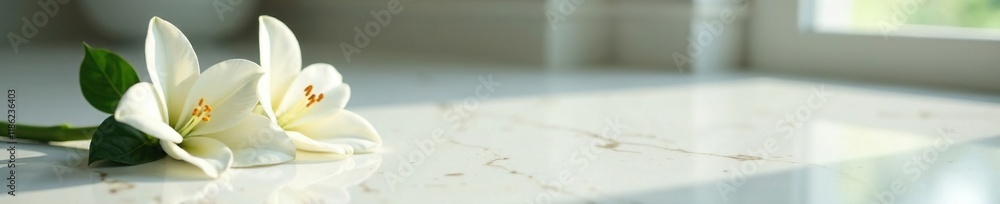 Delicate white lily blooms on a glossy marble floor, peaceful, floral arrangement, serene Delicate white lily blooms on a glossy marble floor, peaceful, floral arrangement, serene