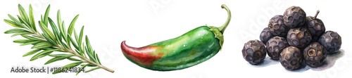 Fresh herbs, vibrant chili pepper, realistic blueberries, watercolor illustration, culinary art, food design.