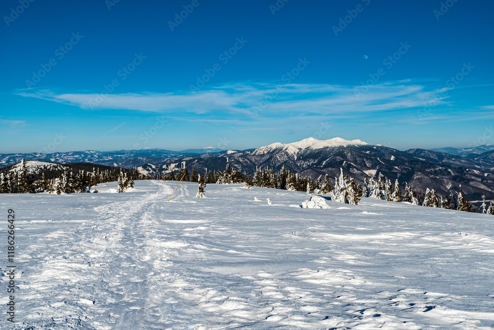 View from Zazriva hill in Lucanska Mala Fatra mountains during winter View from Zazriva hill in Lucanska Mala Fatra mountains during winter