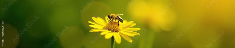 A single bee landing on the soft yellow of a daisy flower, leaves, pollination, colors A single bee landing on the soft yellow of a daisy flower, leaves, pollination, colors