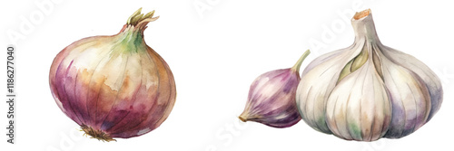 Watercolor onion illustration, garlic bulb art, fresh produce design, botanical style, kitchen decor, culinary artwork.