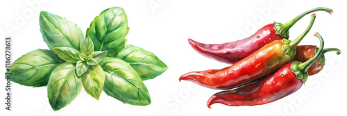 Fresh basil leaves, vibrant red chili peppers, watercolor illustration, culinary herbs, food art, organic ingredients.