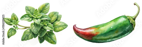 Fresh herbs illustration, vibrant green oregano leaves, colorful jalapeno pepper, watercolor style, culinary art.