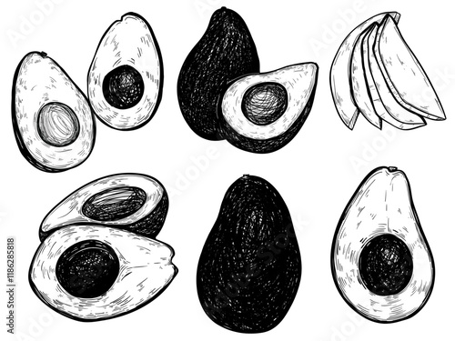 Vector Illustration of Avocado in Various Cuts: Whole, Halves, and Slices