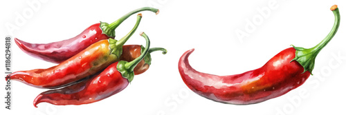 Vibrant red chili peppers, watercolor style, fresh produce illustration, culinary art, food decoration.