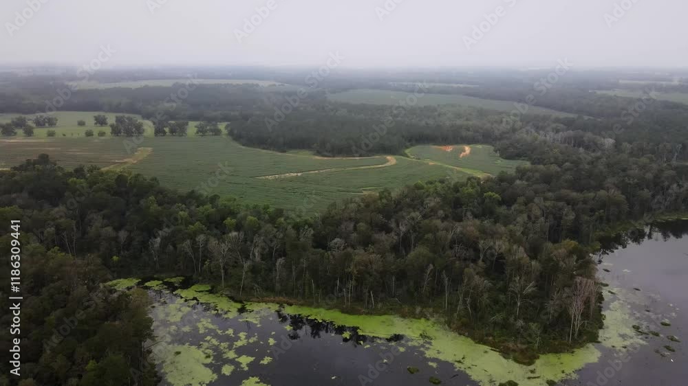Scenery Of Protected Nature With Lake And Forests At Sunrise. Aerial Drone Shot Scenery Of Protected Nature With Lake And Forests At Sunrise. Aerial Drone Shot