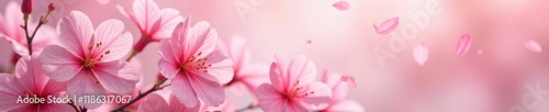 Delicate pink clove flowers scattered on a soft rose background, gentle, flowers