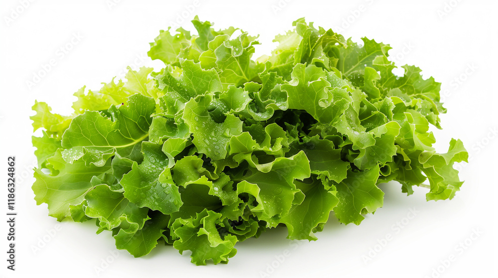 Salad isolated on white background Salad isolated on white background