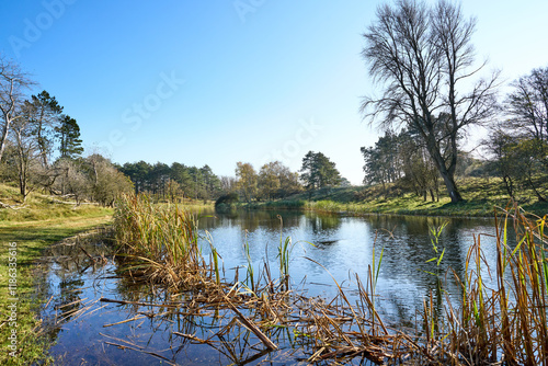 A beautiful and quiet pond in the  Amsterdam Water Supply Dunes - Waterleidingduinen photo