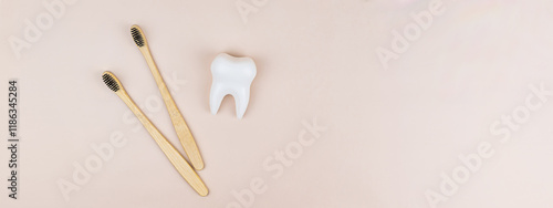 Bamboo eco-toothbrushes and healthy white tooth. Banner, eco-friendly consumption, dental health, healthy lifestyle, self-care, dentistry and dental clinic, oral health. Copyspace for text