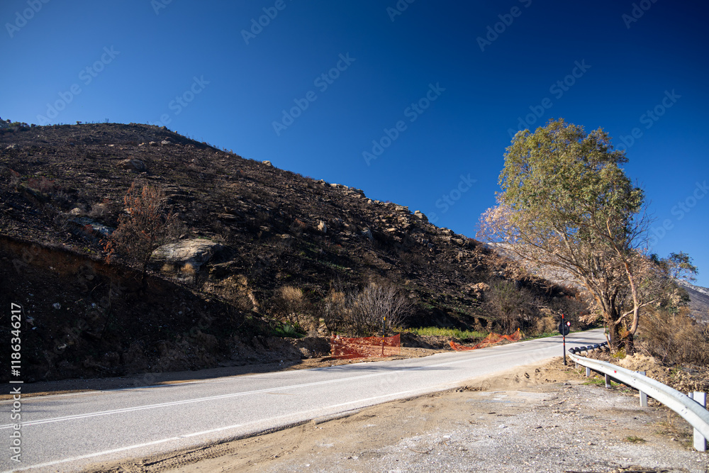 After fire landscape in Greece. Burned forests trees on the hills next to Athens. Photo of the dramatic fires effects in Greece. Global warming.