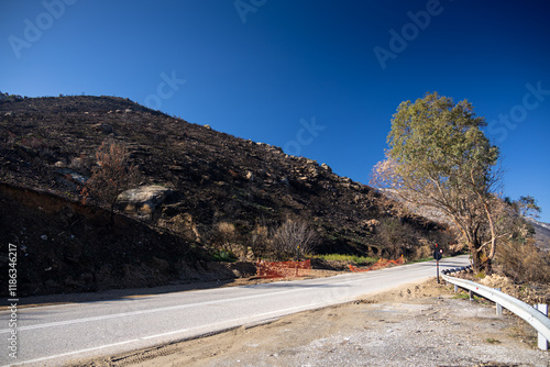 Obraz na płótnie After fire landscape in Greece. Burned forests trees on the hills next to Athens. Photo of the dramatic fires effects in Greece. Global warming. w salonie