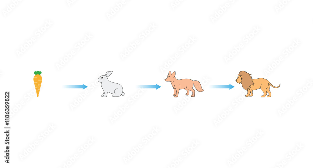 Fototapeta premium Food Chain Science Design. Vector Illustration.