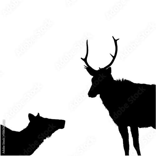 Two deer silhouettes against a transparent background. A buck and a doe.
