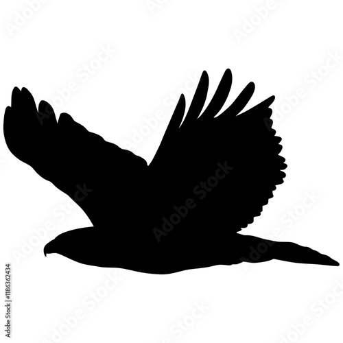 Majestic bird of prey in flight, captured in a striking silhouette.